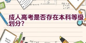 成人高考是否存在本科等级划分？