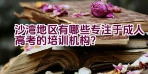 沙湾地区有哪些专注于成人高考的培训机构？