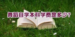 舞蹈自学本科学费是多少？