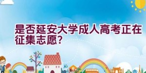 是否延安大学成人高考正在征集志愿？