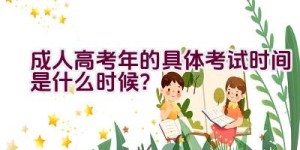 成人高考2023年的具体考试时间是什么时候？