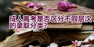 成人高考是否区分不同层次的录取分类？