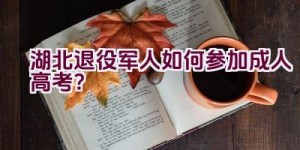 湖北退役军人如何参加成人高考？