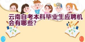 云南自考本科毕业生应聘机会有哪些？