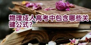 物理成人高考中包含哪些关键公式？