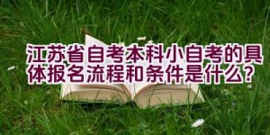 江苏省自考本科小自考的具体报名流程和条件是什么？