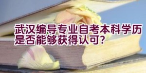 武汉编导专业自考本科学历是否能够获得认可？