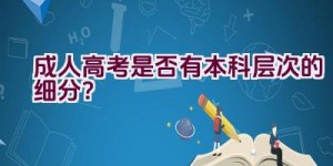 成人高考是否有本科层次的细分？