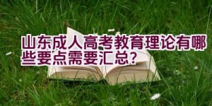 山东成人高考教育理论有哪些要点需要汇总？