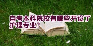 自考本科院校有哪些开设了护理专业？