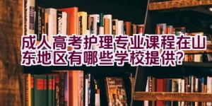 成人高考护理专业课程在山东地区有哪些学校提供？