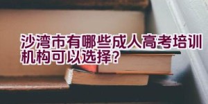 沙湾市有哪些成人高考培训机构可以选择？