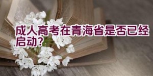 成人高考在青海省是否已经启动？