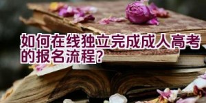 如何在线独立完成成人高考的报名流程？