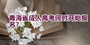 青海省成人高考何时开始报名？