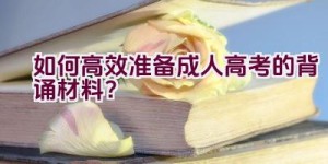 如何高效准备成人高考的背诵材料？