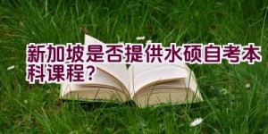 新加坡是否提供水硕自考本科课程？