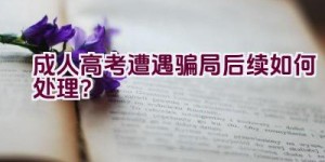 成人高考遭遇骗局后续如何处理？