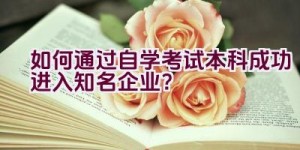 如何通过自学考试本科成功进入知名企业？