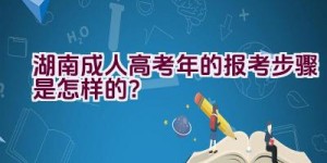 湖南成人高考2021年的报考步骤是怎样的？