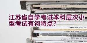 江苏省自学考试本科层次小型考试有何特点？