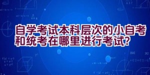 自学考试本科层次的小自考和统考在哪里进行考试？