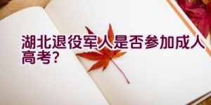 湖北退役军人是否参加成人高考？