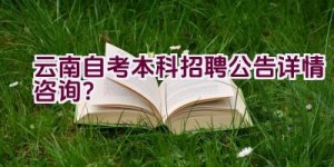 云南自考本科招聘公告详情咨询？