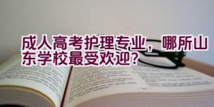 成人高考护理专业，哪所山东学校最受欢迎？