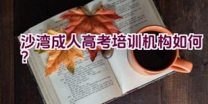 沙湾成人高考培训机构如何？