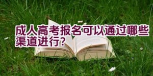 成人高考报名可以通过哪些渠道进行？