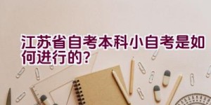 江苏省自考本科小自考是如何进行的？