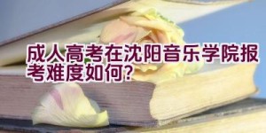 成人高考在沈阳音乐学院报考难度如何？