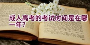 成人高考的考试时间是在哪一年？