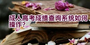 成人高考成绩查询系统如何操作？