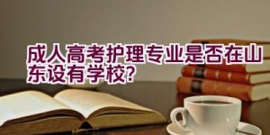 成人高考护理专业是否在山东设有学校？