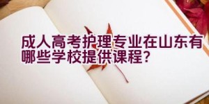 成人高考护理专业在山东有哪些学校提供课程？