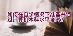 如何在自学情况下准备并通过计算机本科水平考试？