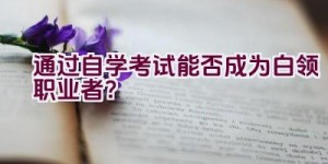 通过自学考试能否成为白领职业者？