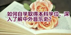 如何自学取得本科学位，深入了解中外音乐史？