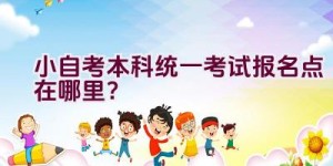 小自考本科统一考试报名点在哪里？