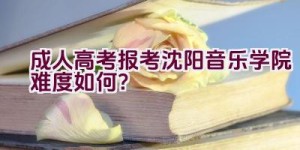 成人高考报考沈阳音乐学院难度如何？