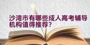 沙湾市有哪些成人高考辅导机构值得推荐？