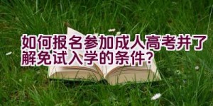 如何报名参加成人高考并了解免试入学的条件？