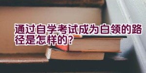 通过自学考试成为白领的路径是怎样的？