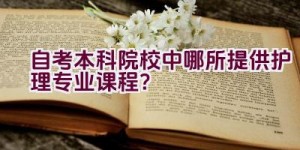 自考本科院校中哪所提供护理专业课程？