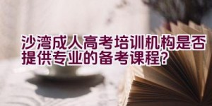 沙湾成人高考培训机构是否提供专业的备考课程？