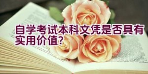 自学考试本科文凭是否具有实用价值？