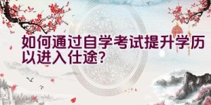 如何通过自学考试提升学历以进入仕途？