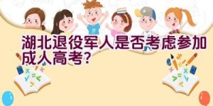 湖北退役军人是否考虑参加成人高考？